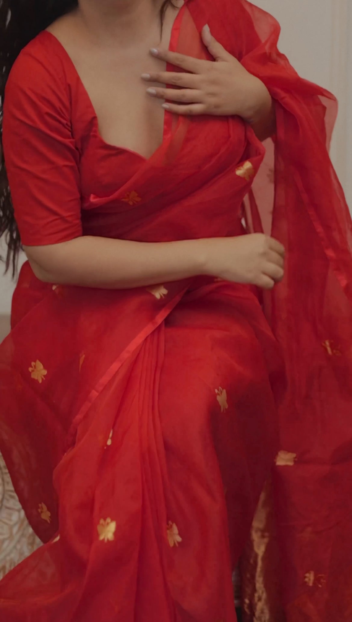 Red chanderi organza silk saree with butterfly motifs all over