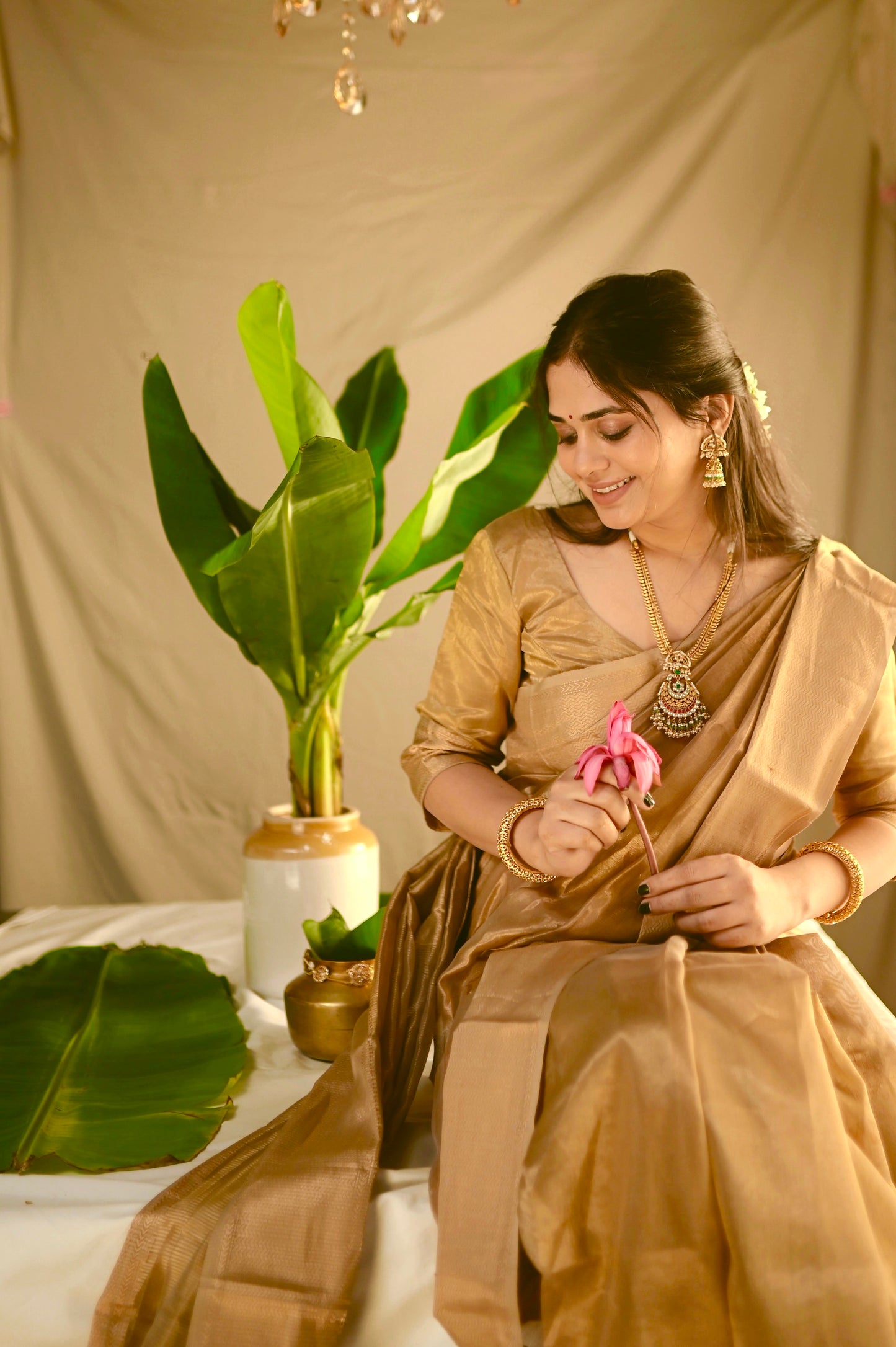 Hazelnut gold maheshwari tissue silk saree with flower motifs all over