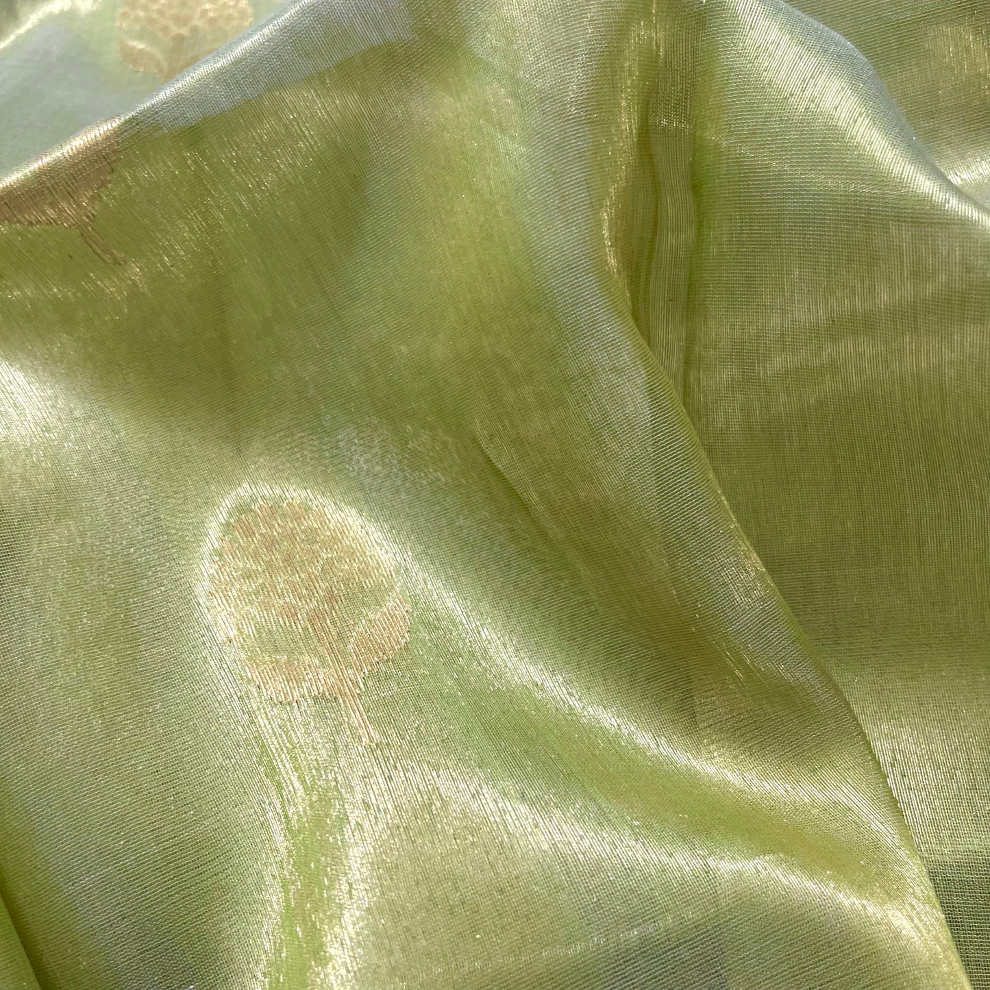 Green maheshwari tissue silk saree with flower motifs all over