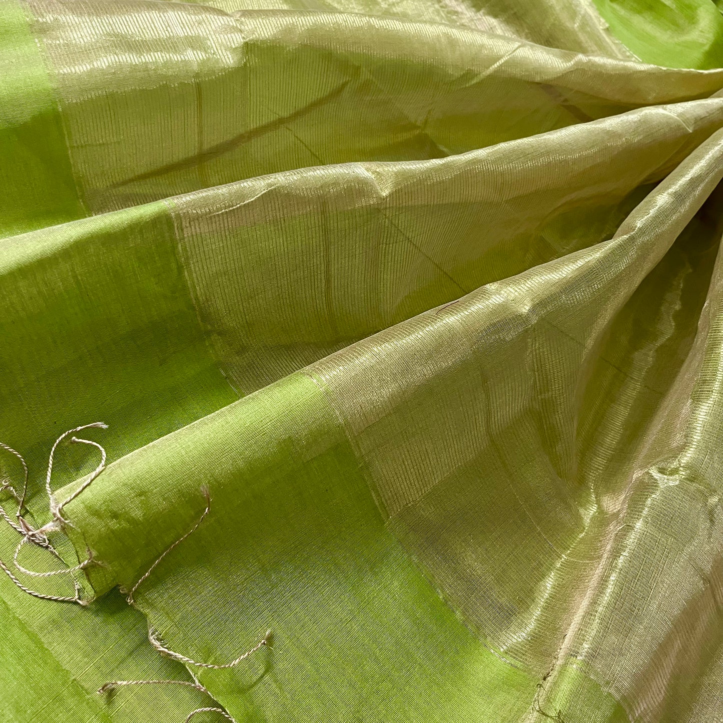 Moss green maheshwari tissue silk saree with zari lines on pallu